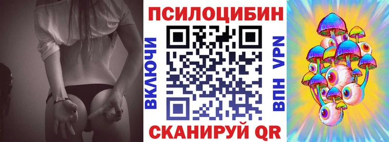 Галлюциногенные грибы Psilocybine cubensis  Струнино 